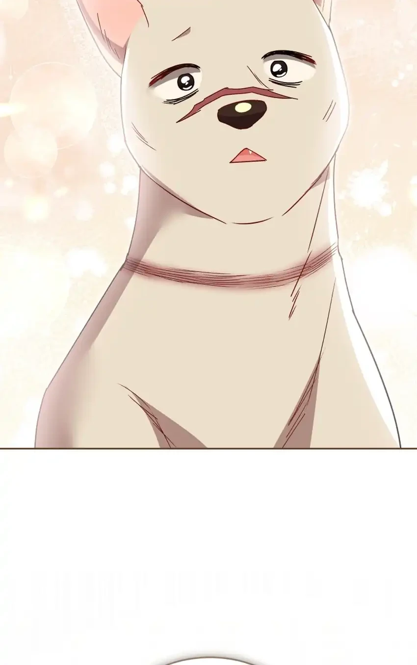 Hello? Veterinarian! Chapter 116 Gambar 38