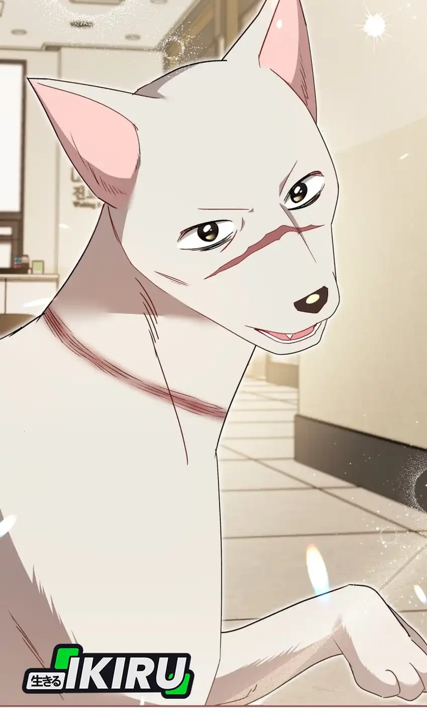 Hello? Veterinarian! Chapter 117 Gambar 34