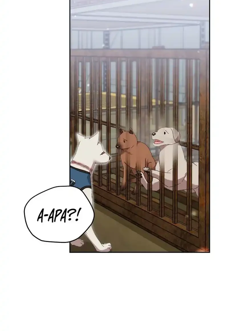 Hello? Veterinarian! Chapter 118 Gambar 26