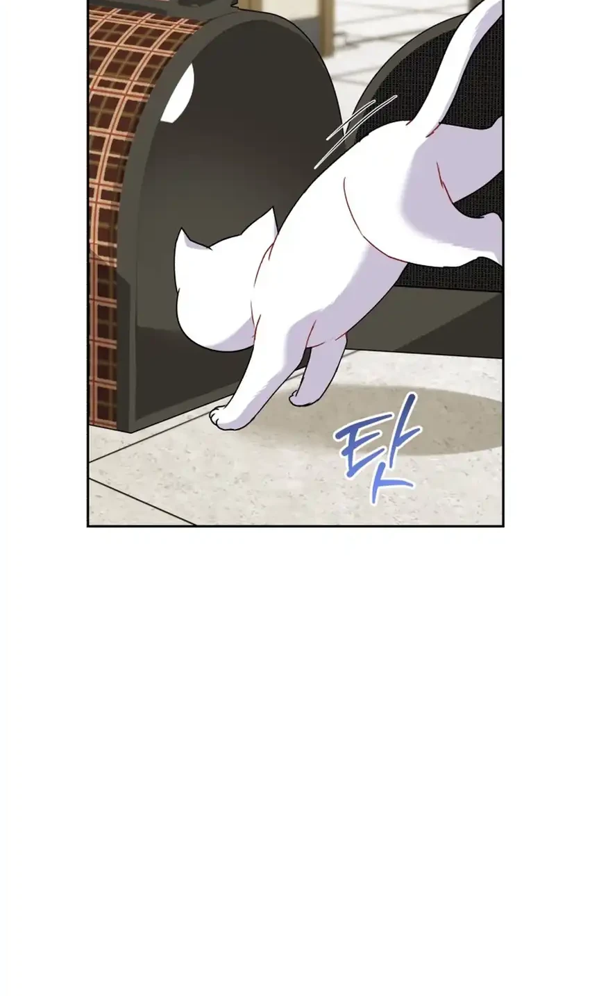 Hello? Veterinarian! Chapter 136 Gambar 42