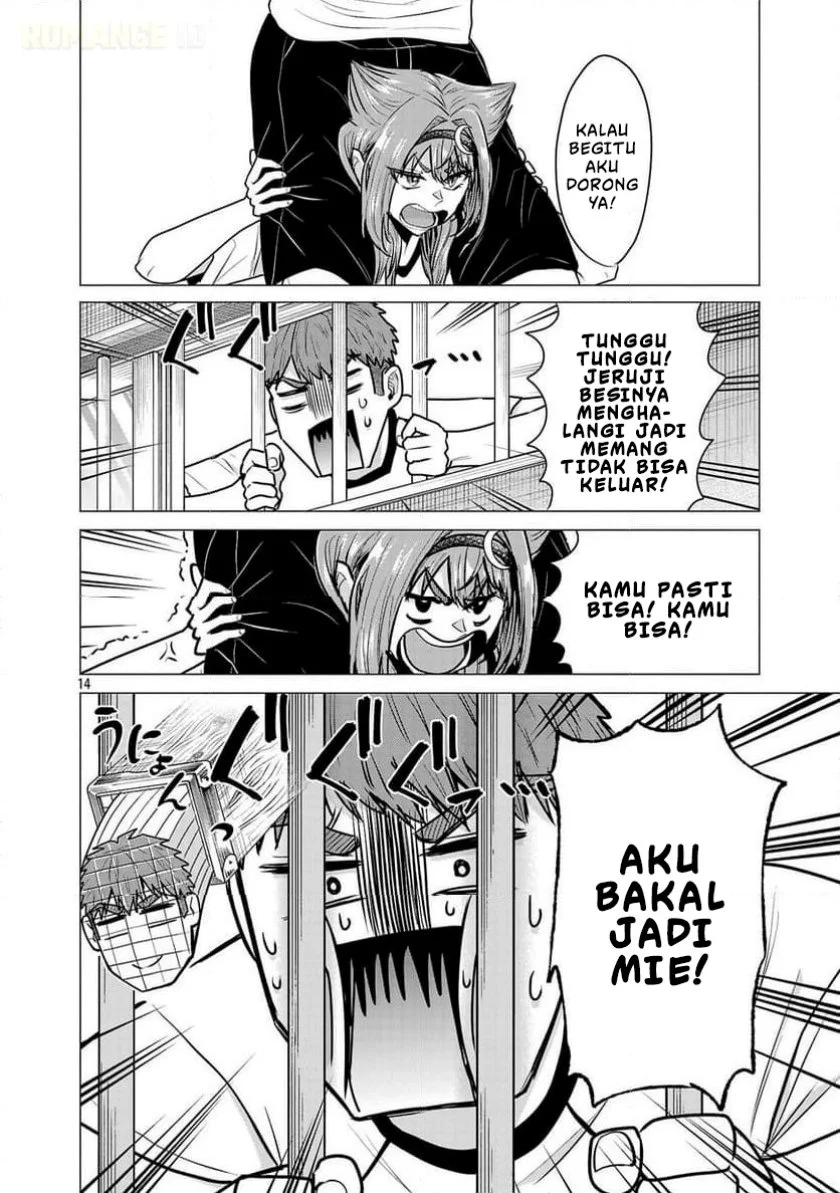 Halaman 15