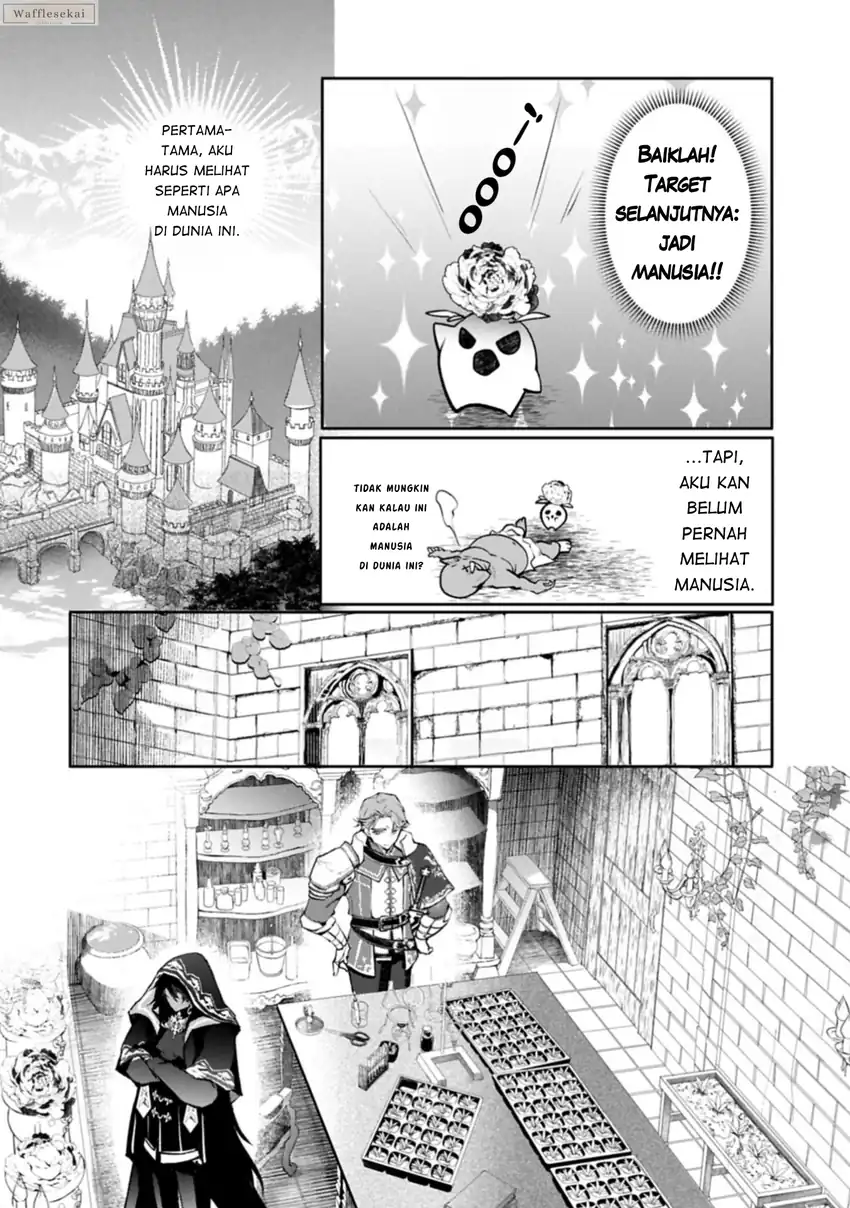 Mandragora tte Baretara Toubatsu desu ka?: Hana no Majo no Hohoemi wa Kanchigai no Tane o Maku Chapter 1 Gambar 21
