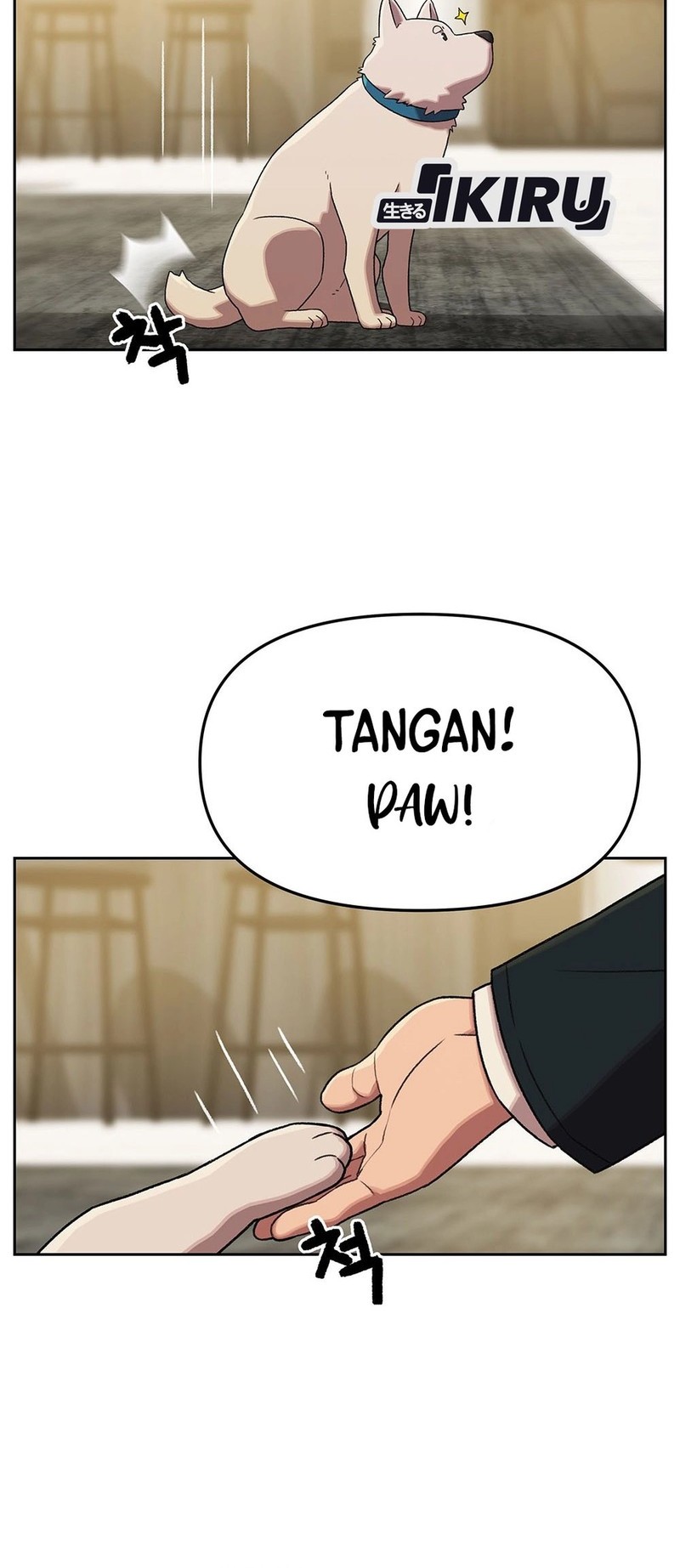Halaman 24