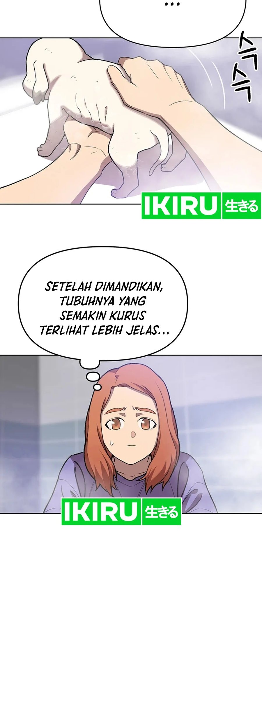 Halaman 23