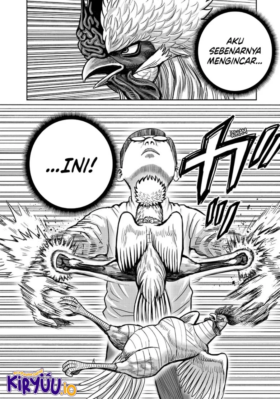 Rooster Fighter Chapter 39 Gambar 25