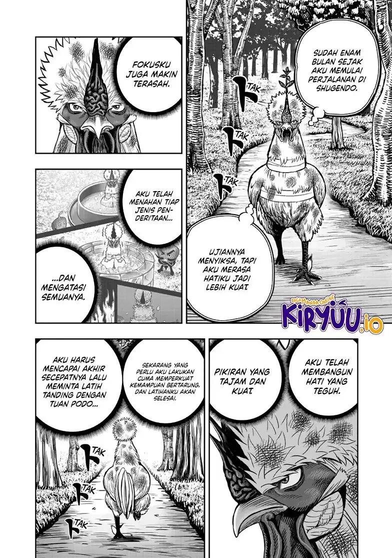Rooster Fighter Chapter 49 Gambar 27