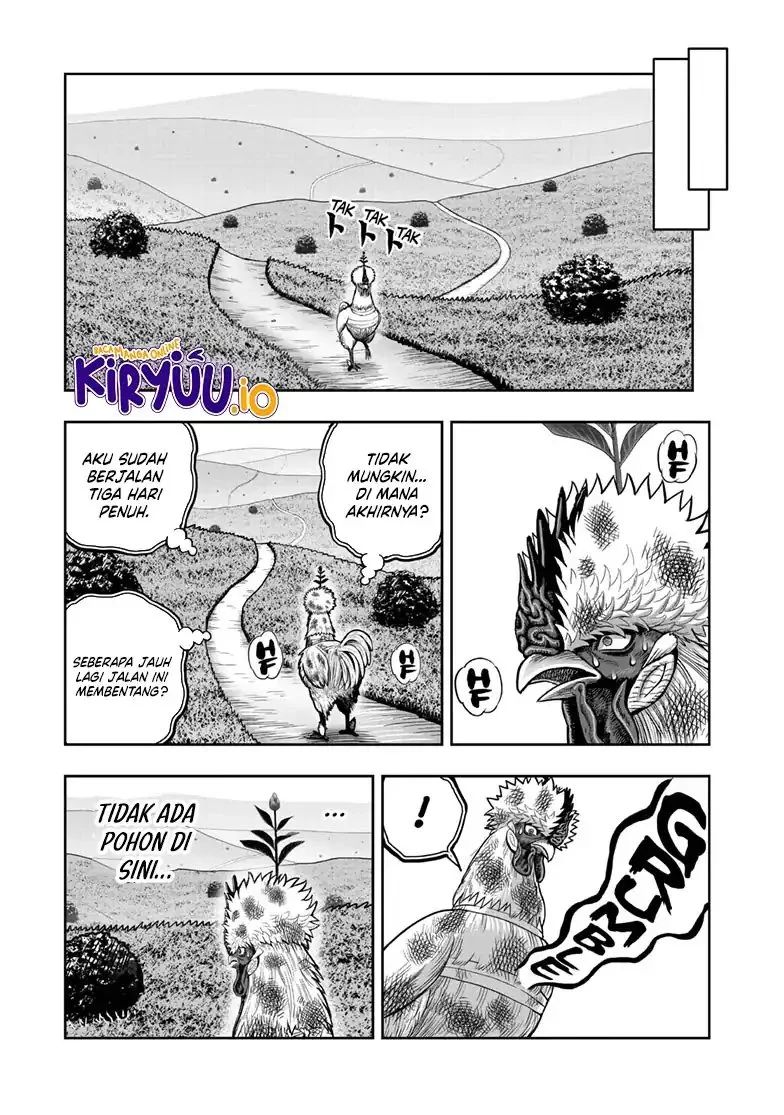 Rooster Fighter Chapter 49 Gambar 28