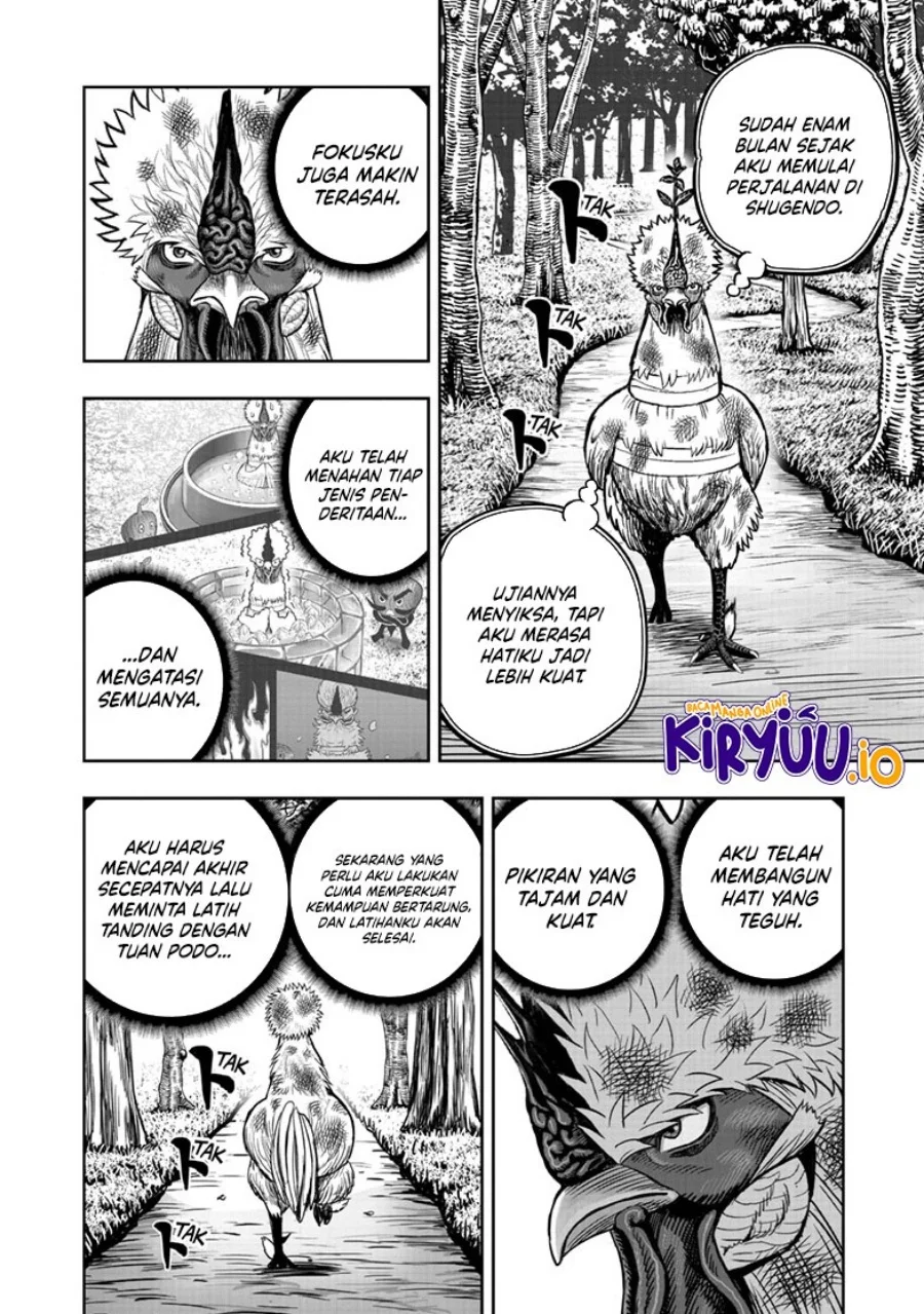 Rooster Fighter Chapter 50 Gambar 26