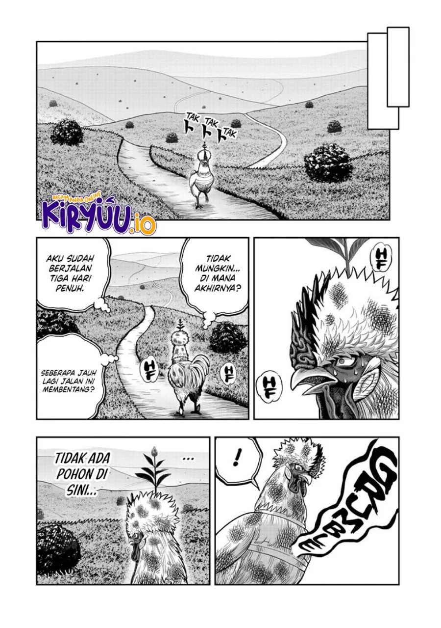 Rooster Fighter Chapter 50 Gambar 27