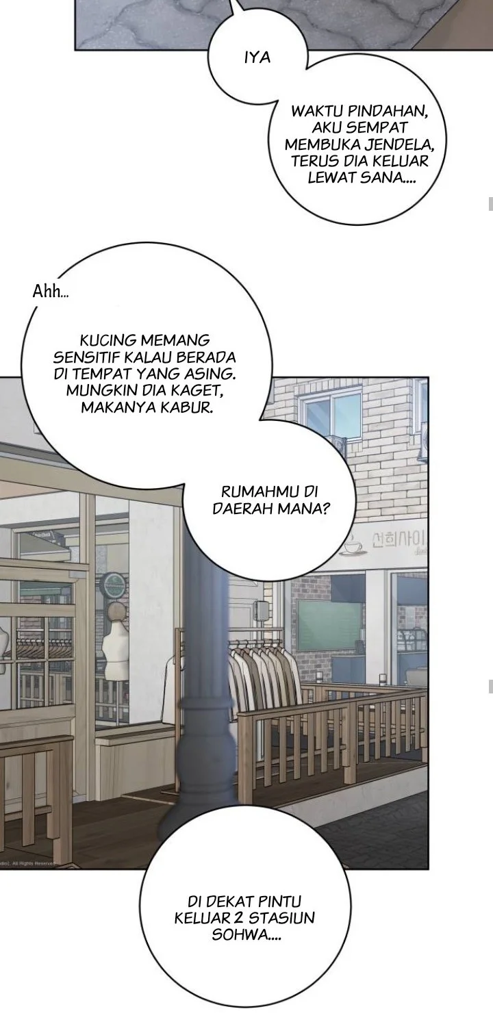 The Secret That Made You Cry Chapter 1 Gambar 41