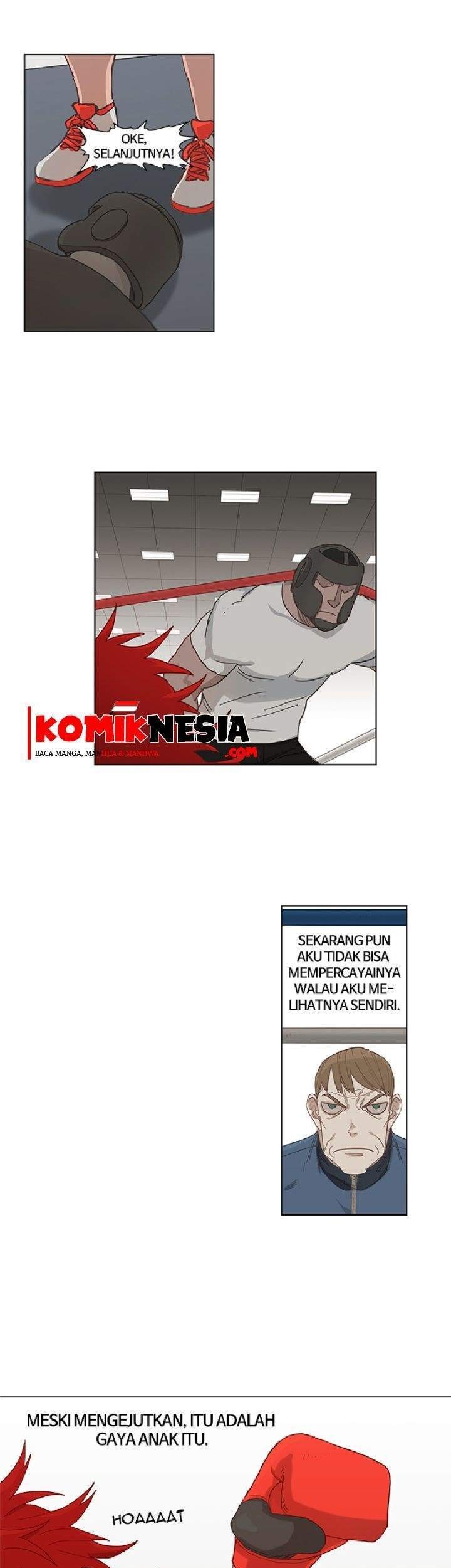 Halaman 17