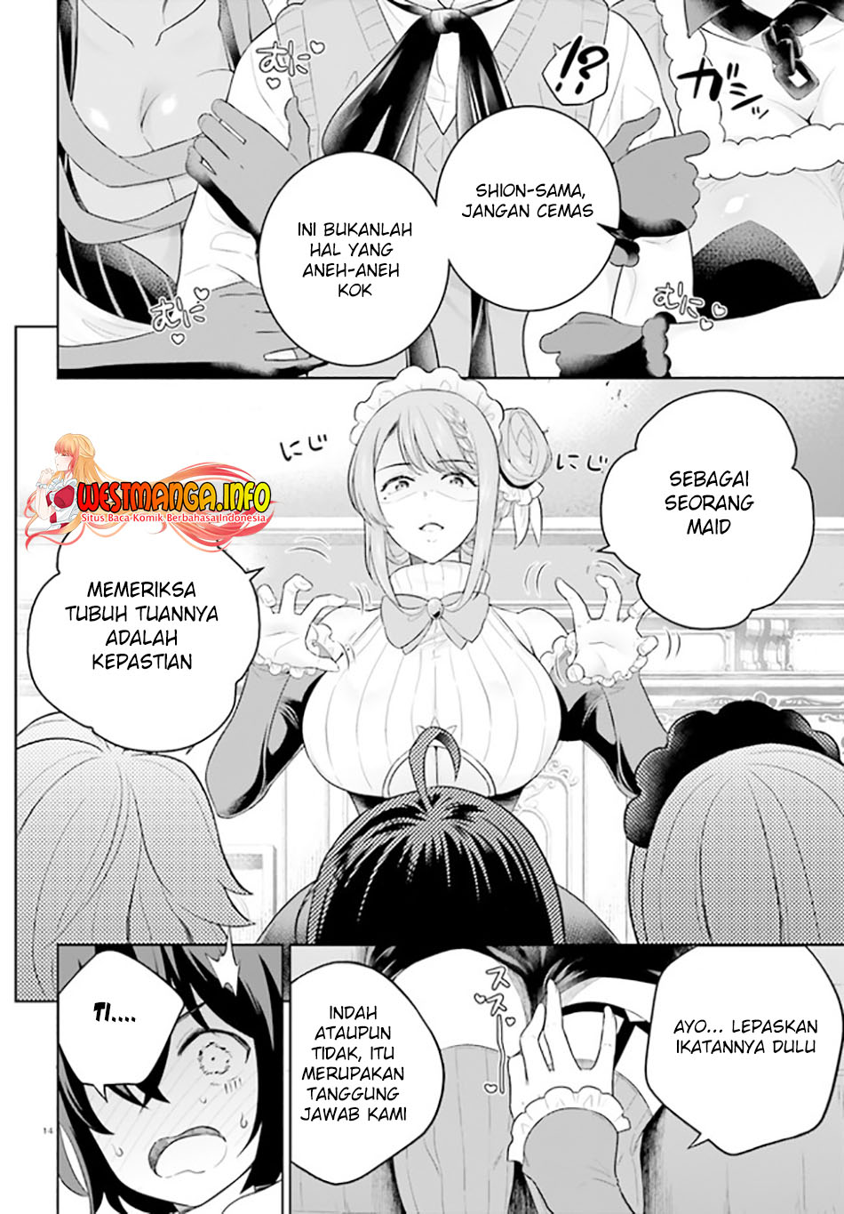 Halaman 17