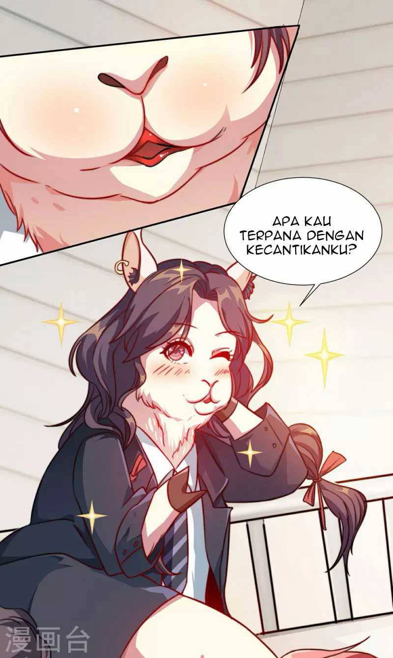 Apocalypse Livestream – Start With Alpaca! Chapter 01 Gambar 27