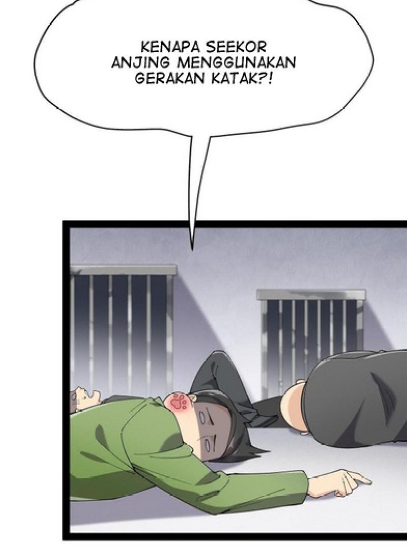 Halaman 17