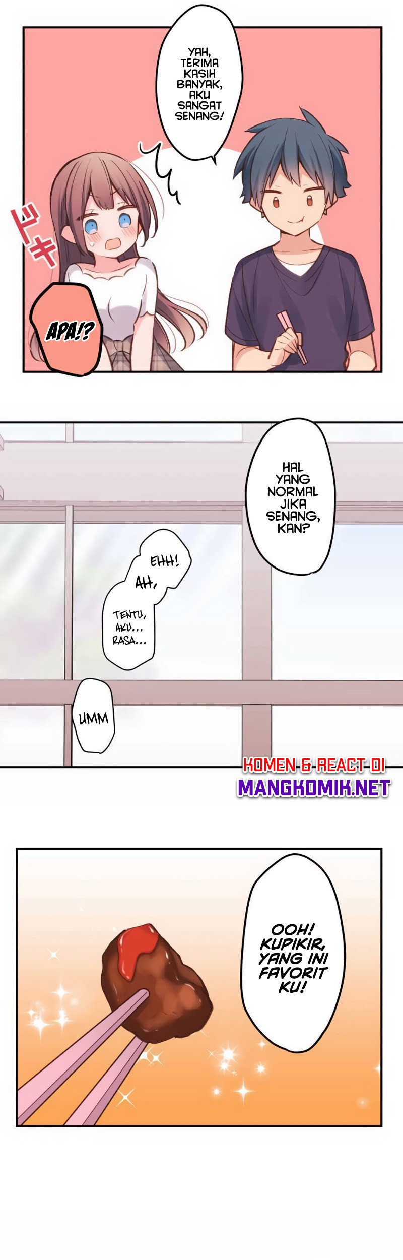 Halaman 17