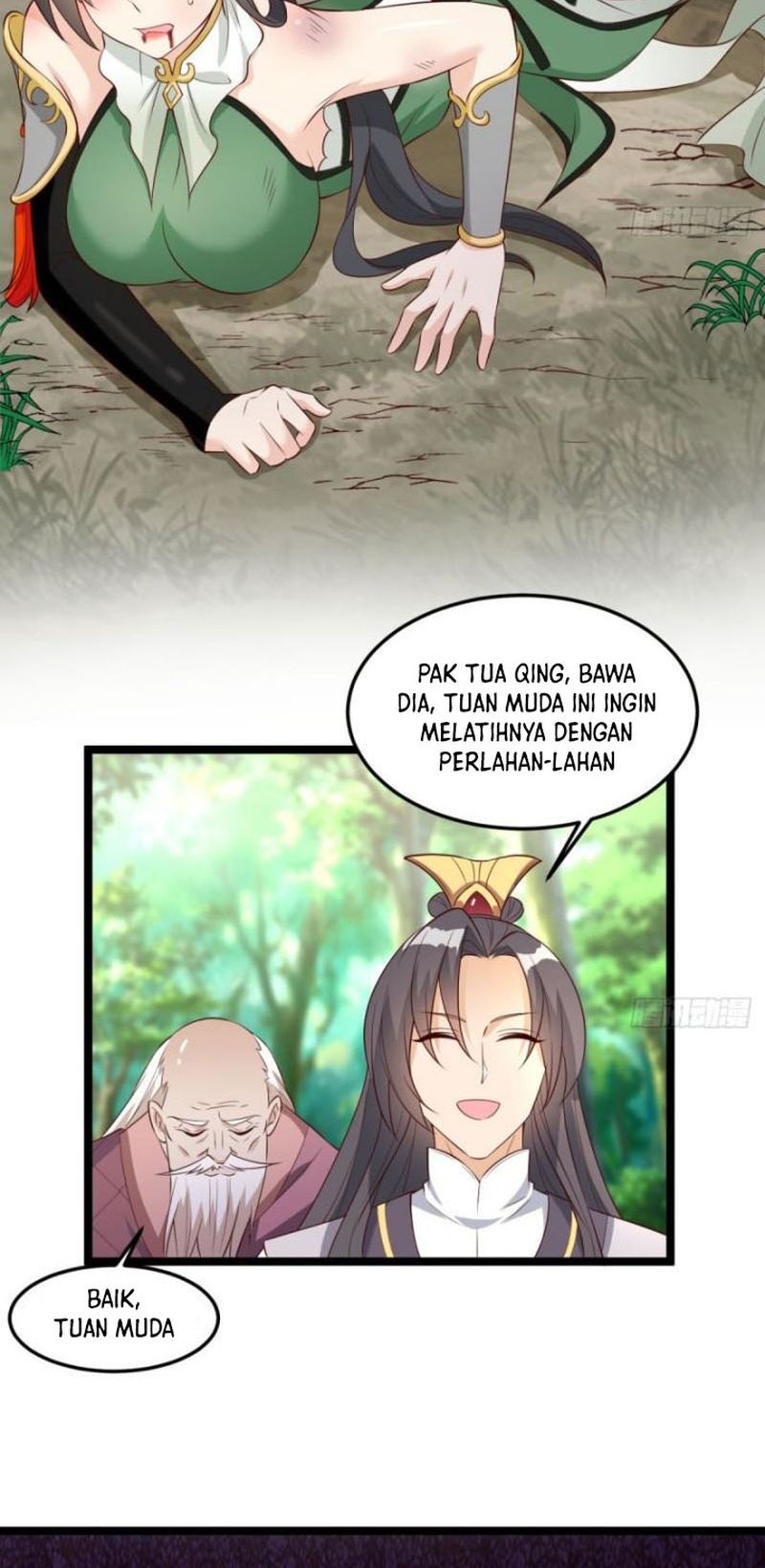 Halaman 17
