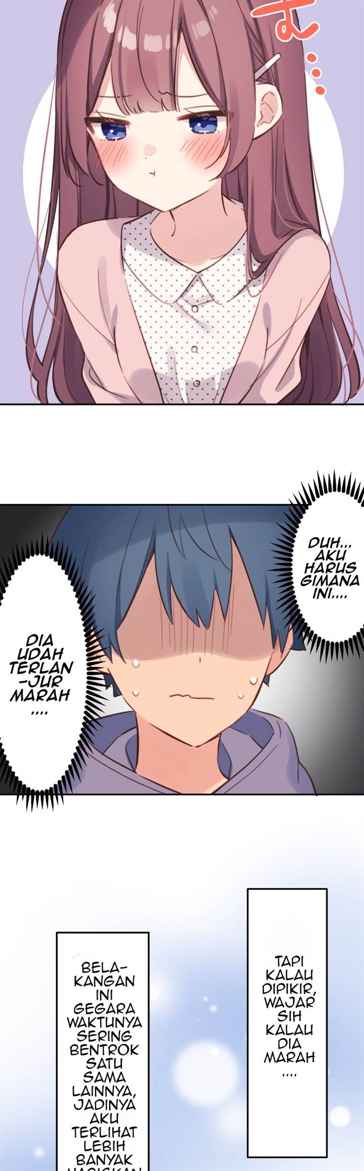 Halaman 17