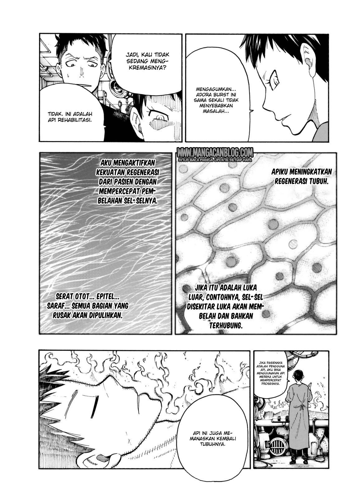 Halaman 11