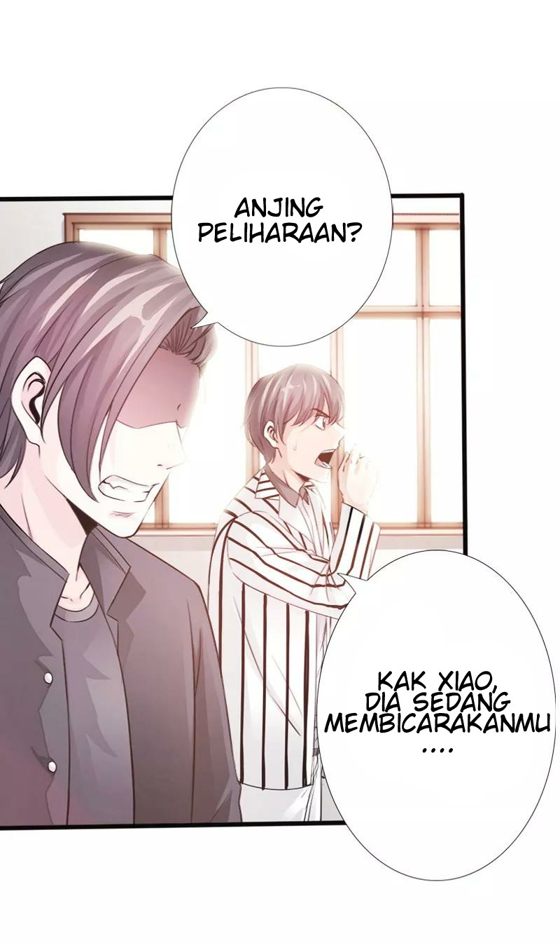 Halaman 24