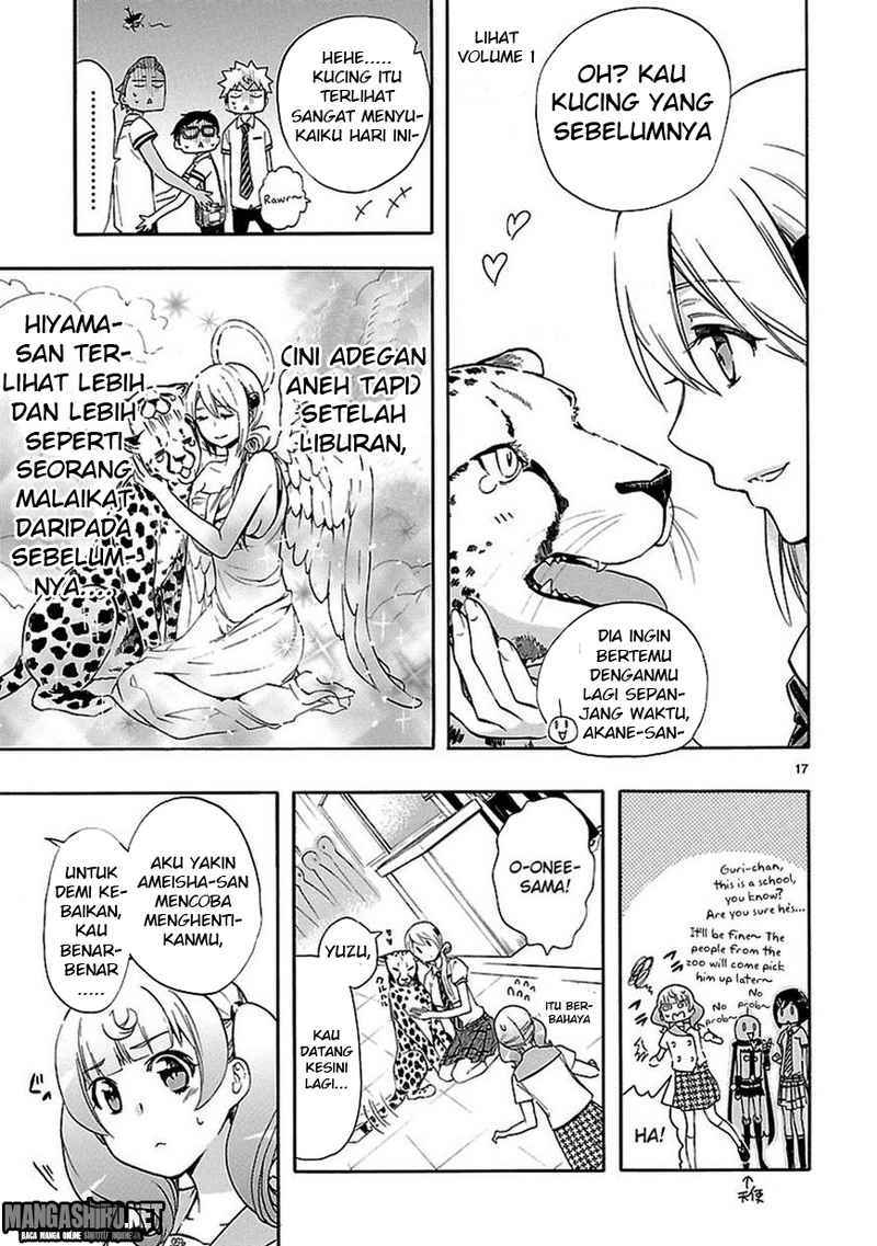 Halaman 17