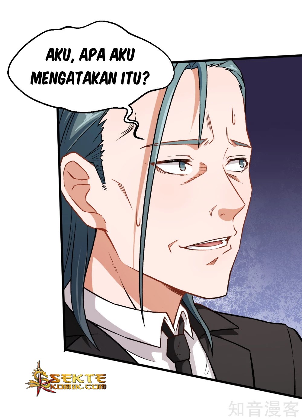 Halaman 17