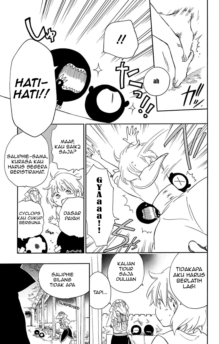 Halaman 17