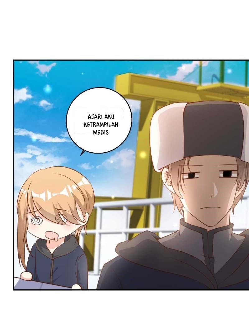 Halaman 17