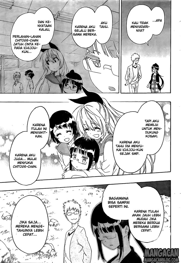 Nisekoi Chapter 223 Gambar 11