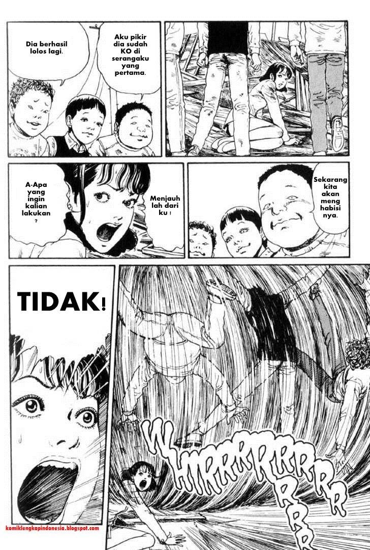 Halaman 17