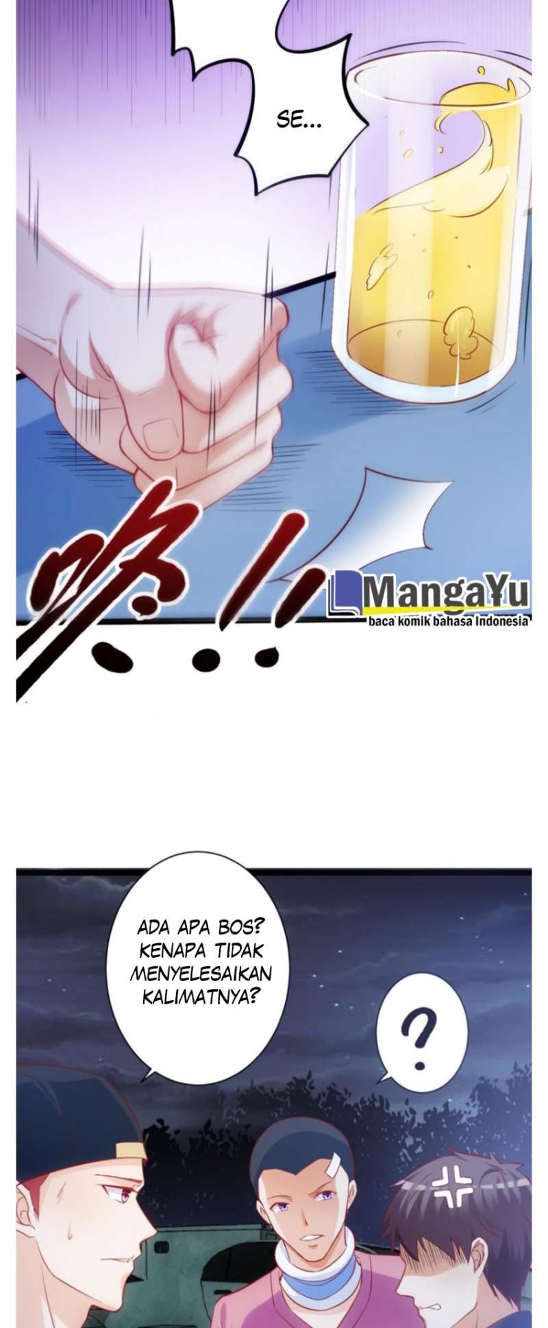 Halaman 17
