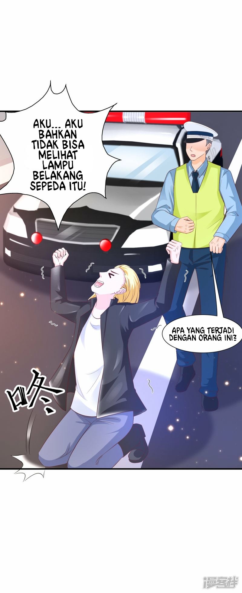 Halaman 17