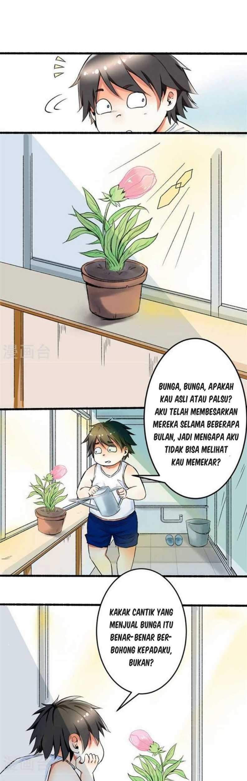 Halaman 17