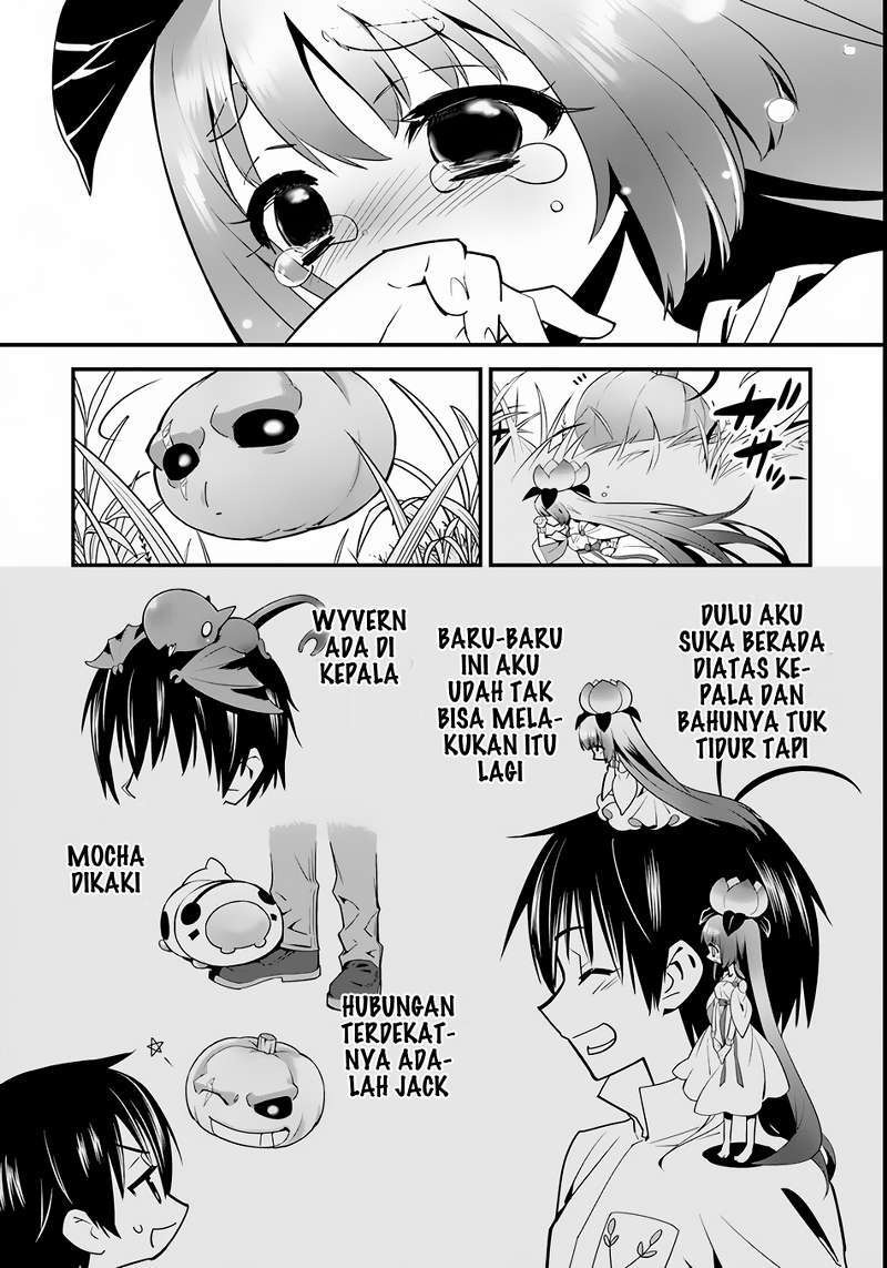 Halaman 17
