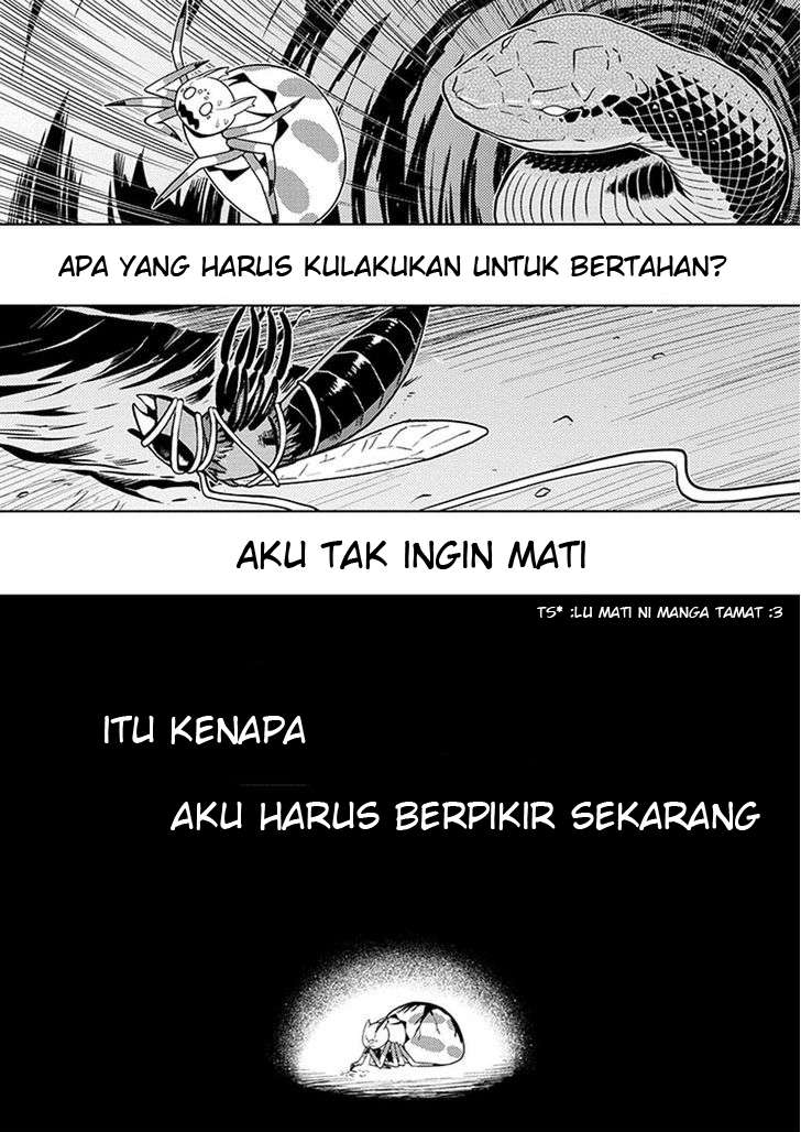 Kumo desu ga, Nani ka? Chapter 8 Gambar 11
